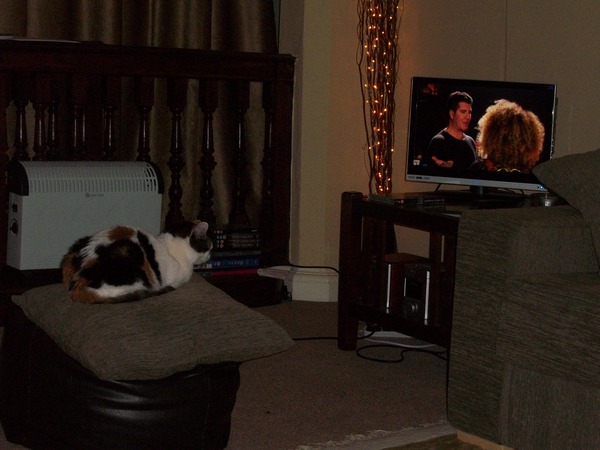 Westminstenders: The WA Vote ReDux