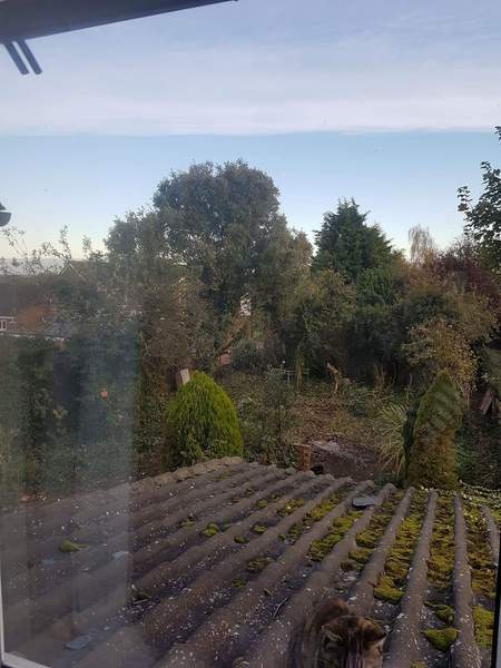 Laying lawn/turf