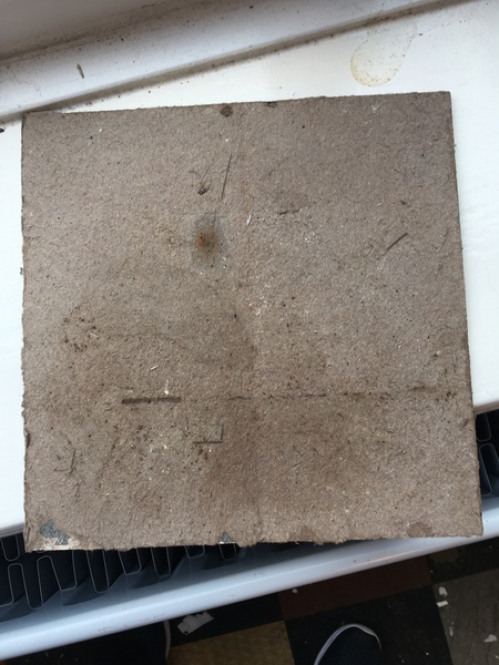 Floor tiles- asbestos??