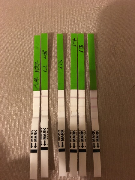 Please can someone help? Is this positive opk?