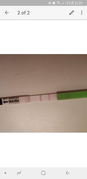 Ovulation  strip