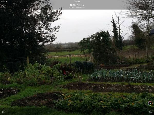 Allotment book for absolute beginner?