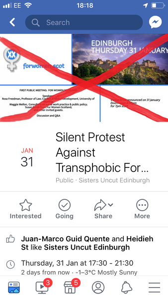 For Women Scotland - Public meeting on Women's Rights in Scotland - Edinburgh, 31/1/19