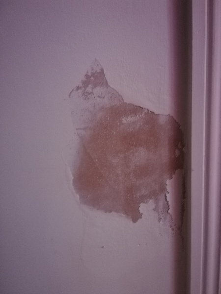 What is this? Damp?