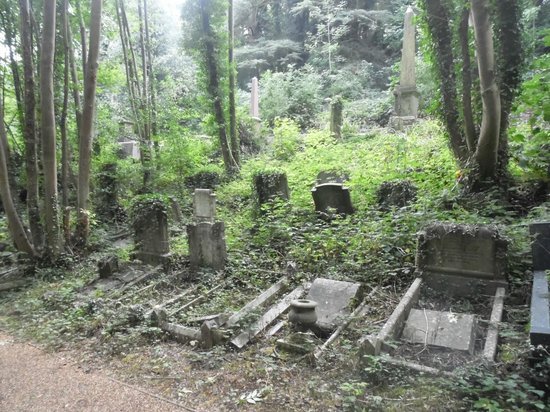 Isn’t a walk around an old cemetery fascinating?