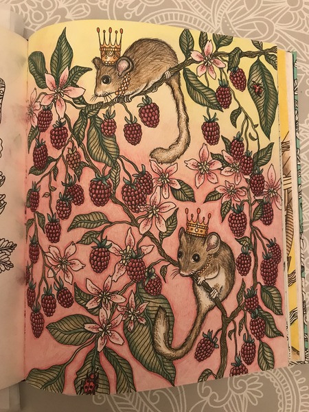 Colouring- anyone want to share their efforts?