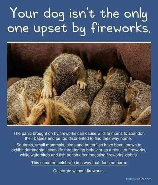 To think you don't need lengthy NYE fireworks