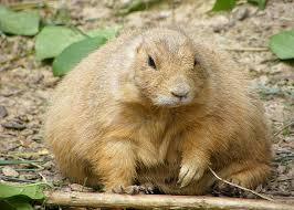 The Brexit Cupboard Part 2