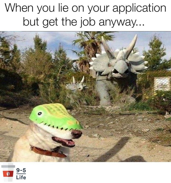 To ask what the last thing was that made you REALLY laugh?