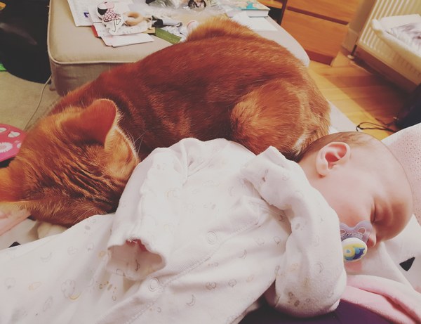 What's your DCat up to today? (Thread 7!)