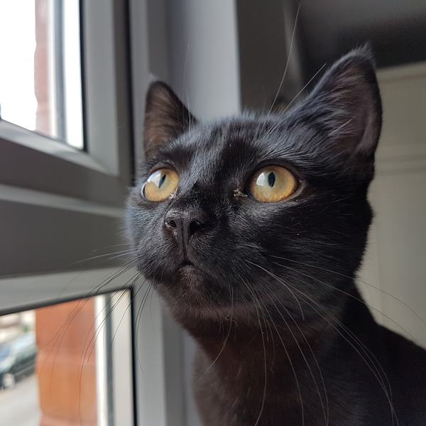 A warm woolly welcome to C2019! Chernobs ahoy!