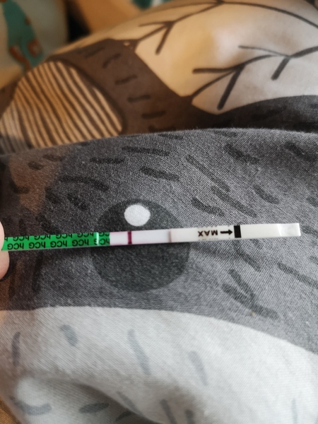 15 days late...