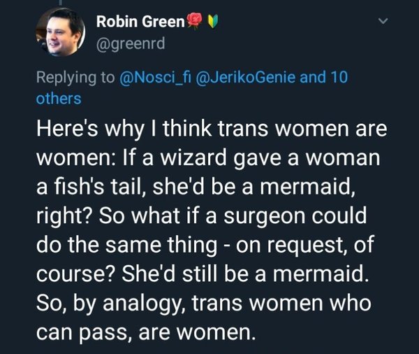 Recording of Mermaids training