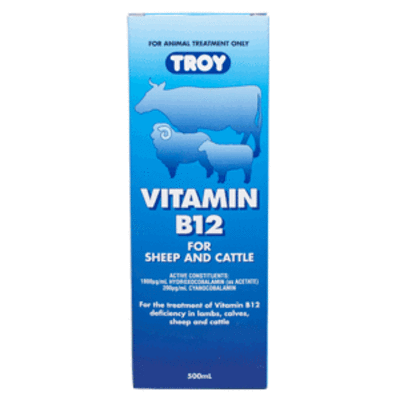 Vegan baby- what’s ur thoughts?