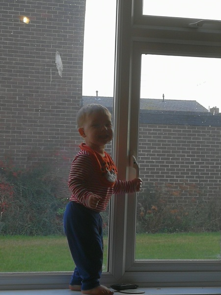 To clap my hands and skip about in a elephantine manner?