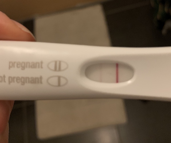 TTC JANUARY 2019