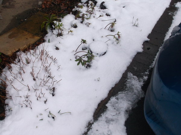 Any Witches Here? Part 6