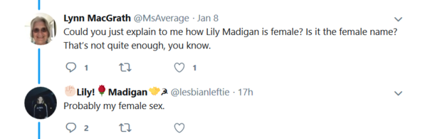 Lily Madigan and the School Saga