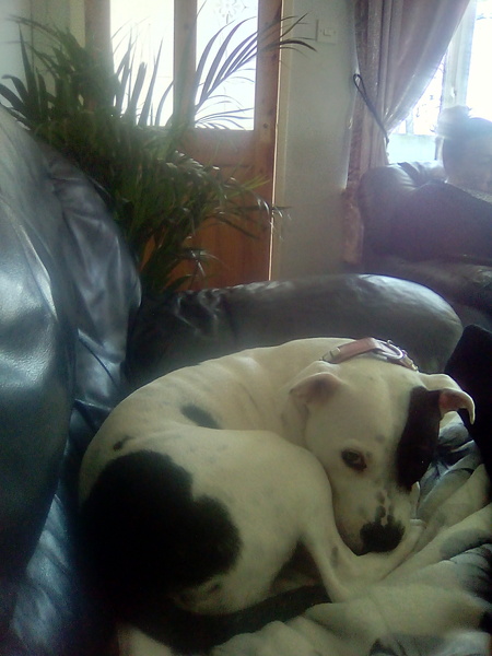 Westminstenders: Waiting for a Valentines Miracle