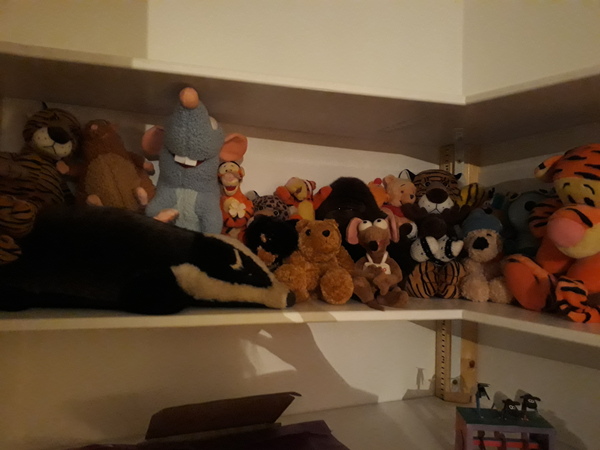 To be unable to part with my childhood (and later...) soft toys?