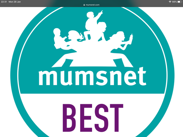 Anybody else get this - site suddenly going giant and losing formatting?