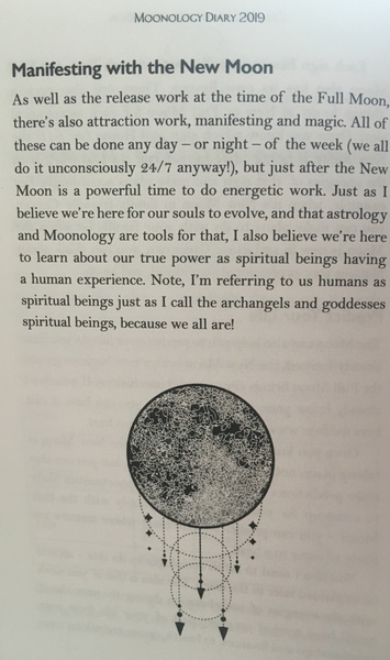 Any Witches Here Part 5.