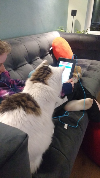 What's your DCat up to today? (Thread 7!)