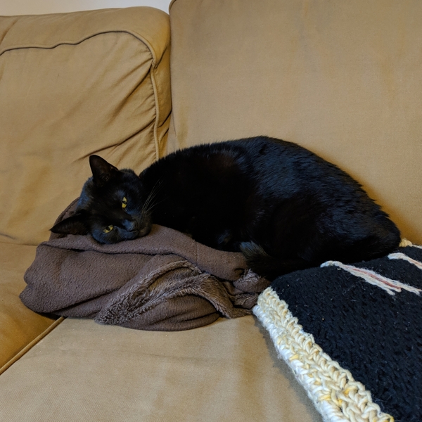 Westminstenders: What The Hell Happens Next?!