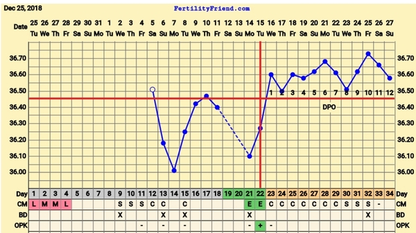 BBT CHART OPINIONS