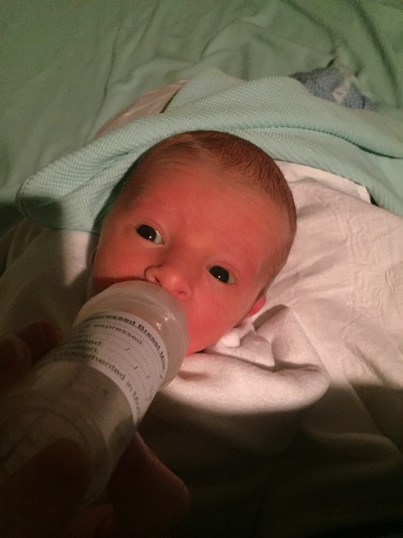 Due February 2019: here come the babies!