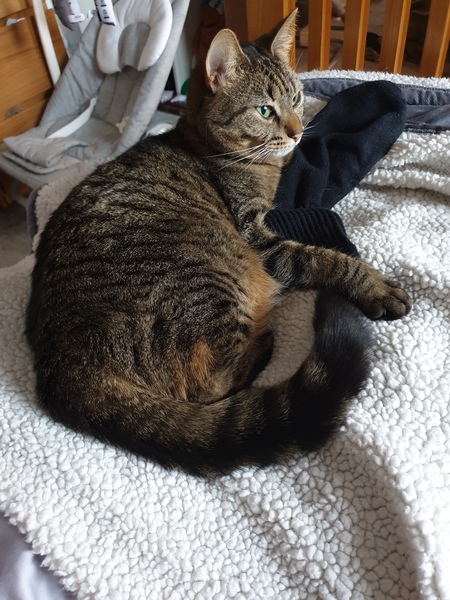 What's your DCat up to today? (Thread 7!)
