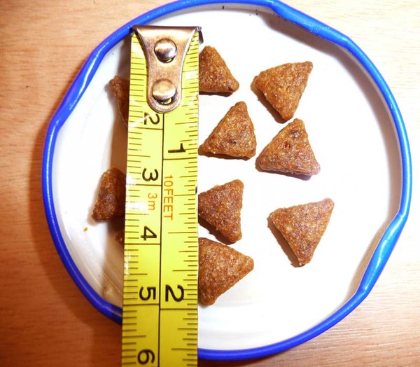 Can anyone ID this food please?