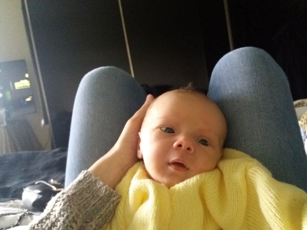 More Christmas Cake! Pregnancy after loss (thread 3)