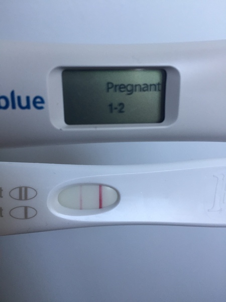 Immune/NK issues - aka Pred Thread no. 22!