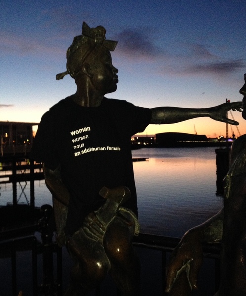 ReSisters standing up for adult human females **Thread title edited by MNHQ**