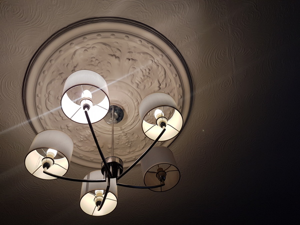 Old ceiling help - what are my options?