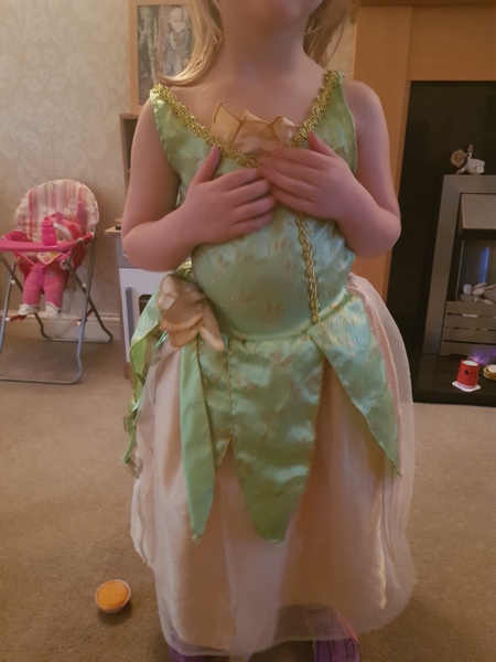 What children's book/ film is this dress from?
