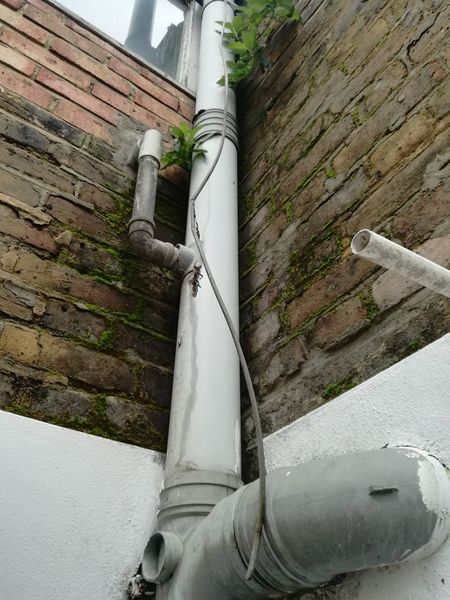 Please help me figure out what is causing the damp
