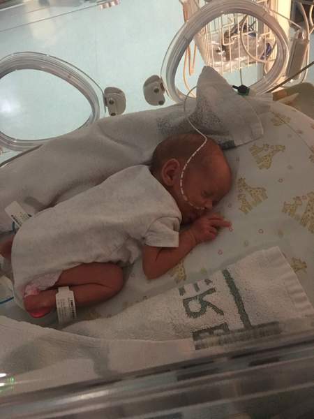 Due February 2019: here come the babies!