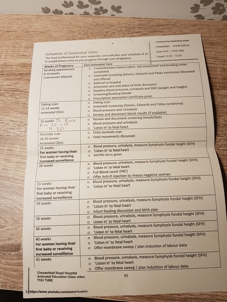 Ringing in the New Year & 2nd trimester - July 2019!