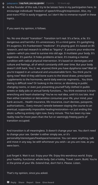 A detransitioner gives powerful and devastating warning against medical transition.