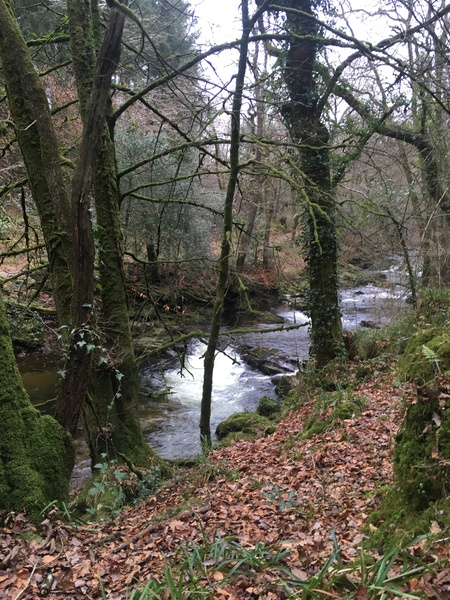 Any Witches Here Part 5.