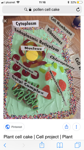 Help - making a cake to look like a pollen cell