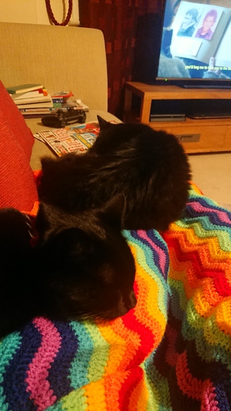 A warm woolly welcome to C2019! Chernobs ahoy!