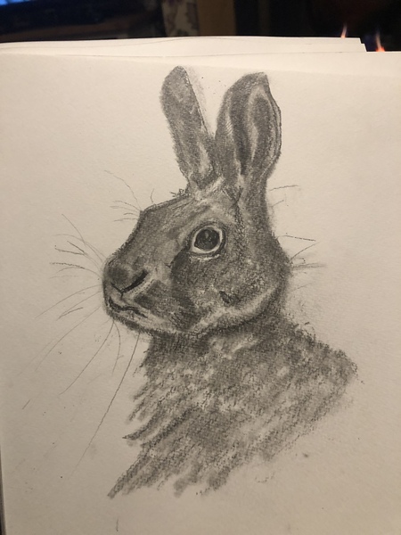 I’m teaching myself to draw. Is this any good?