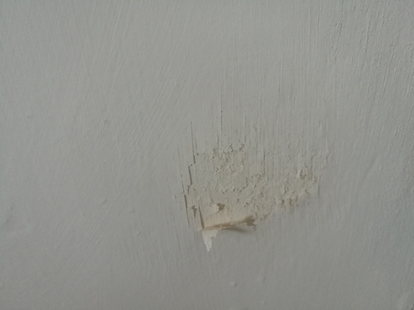 Damp but what kind?