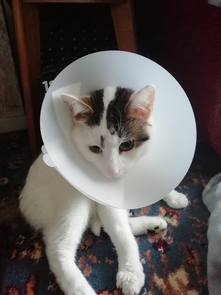 Reassurance please!