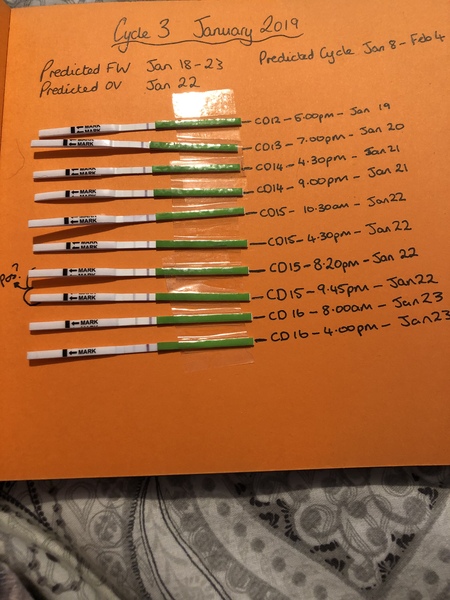 TTC #1 thread 1 2019
