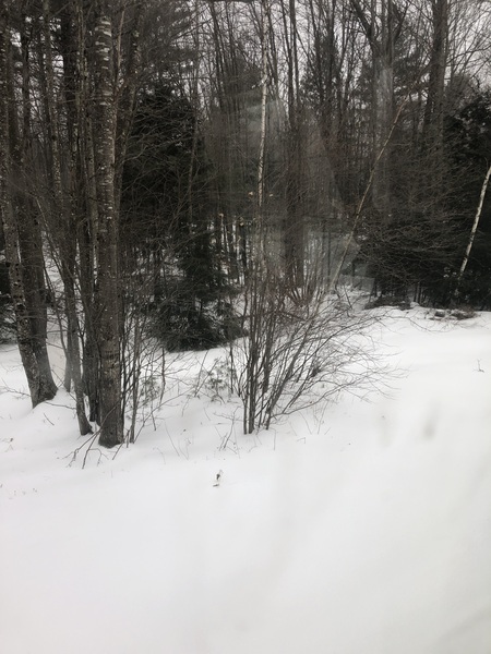 In the US with a Blizzard on the way.