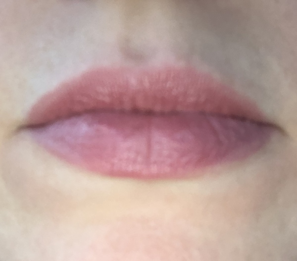 Lipstick Challenge January 2019.
